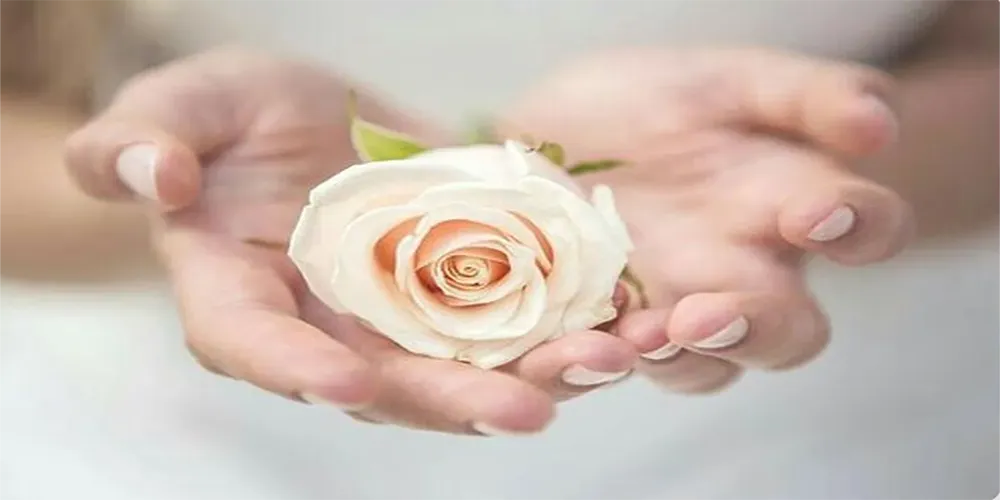 جراحی های زیبایی زنان